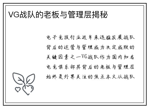 VG战队的老板与管理层揭秘